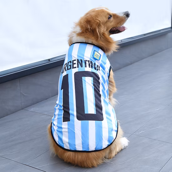 Costume